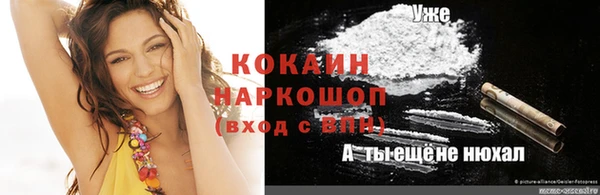 дживик Осинники