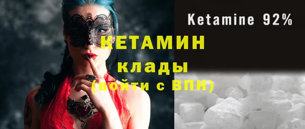 гидра Няндома