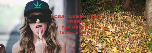 дживик Осинники