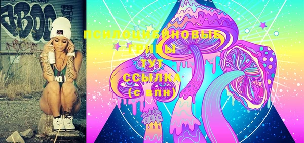 дживик Осинники