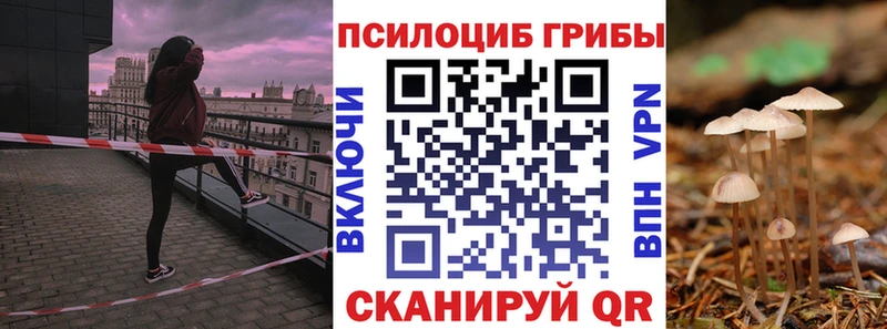 Галлюциногенные грибы прущие грибы  Пудож 